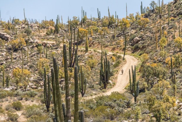 Bikepacking en el desierto